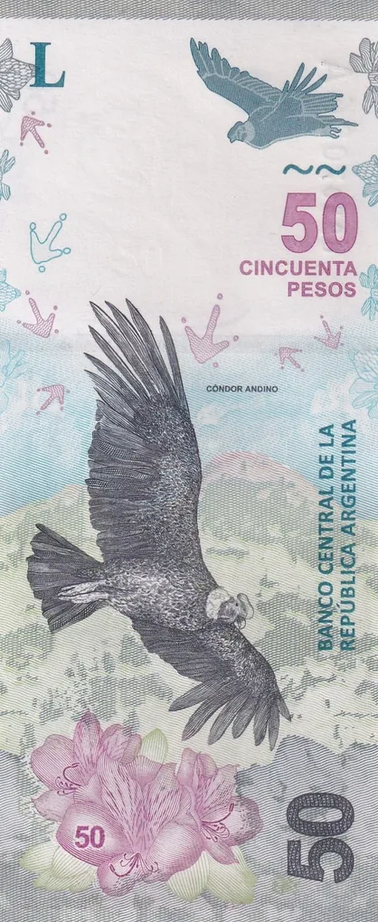 Argentina 50 Pesos Rare Note with Semi-Fancy 7086 number #B2
