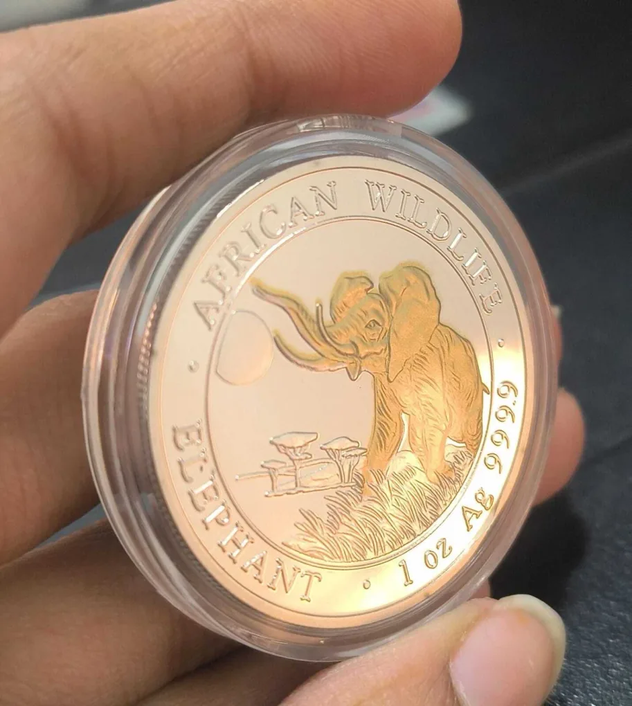 Reproduction Coin – 100 Shillings 2020 Somali African Wildlife Elephant Silver Plated Commemorative UNC Coin