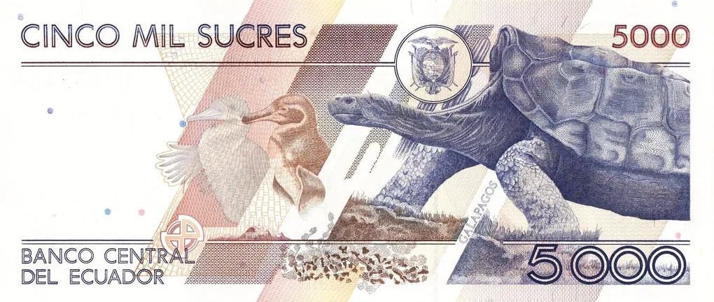 5000 Sucres of Ecuador Country (AD 1991) with Portrait of Juan Montalvo/Cormorant, Penguin and Galapagos Tortoise