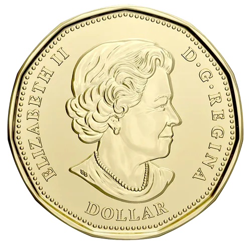 2021 Canada Dollar 1 Loonie Klondike Gold Rush Colorised UNC Canada Mint Coin Unique and Rare