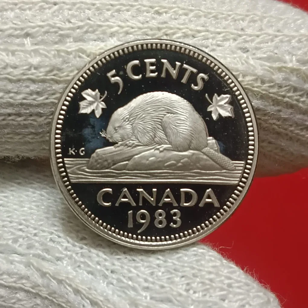 Elizabeth II DG Regina 5 Cents Proof Coin 1983 Year Royal Canadian Mint