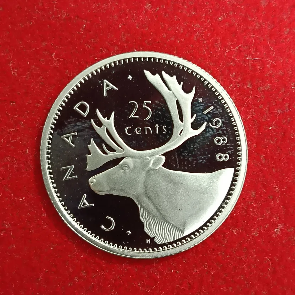 Elizabeth II DG Regina 25 Cents Proof Coin 1988 Year Royal Canadian Mint