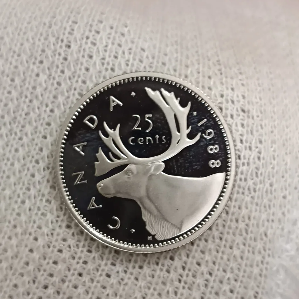 Elizabeth II DG Regina 25 Cents Proof Coin 1988 Year Royal Canadian Mint