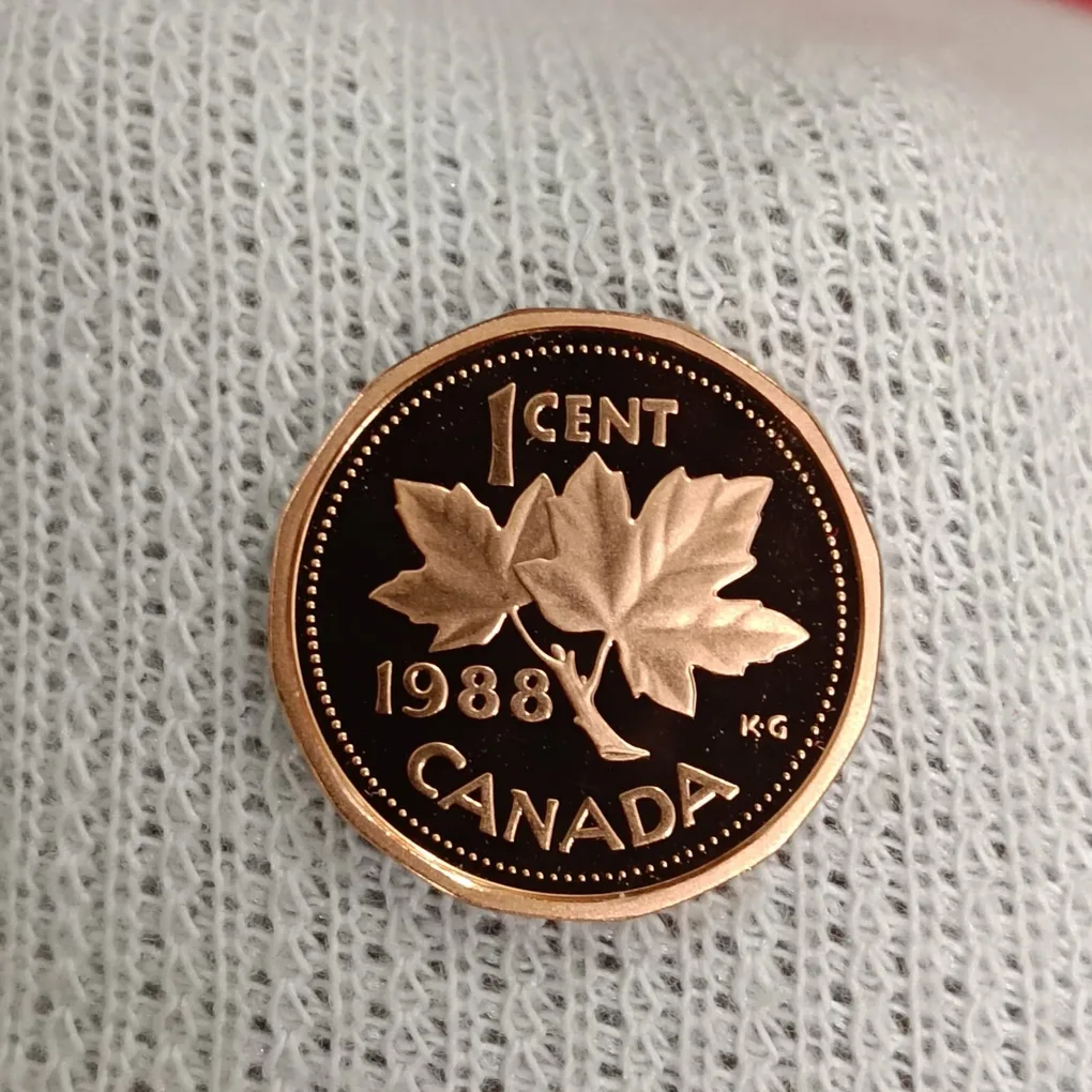 Elizabeth II DG Regina 1 Cents Copper Proof Coin 1988 Year Royal Canadian Mint