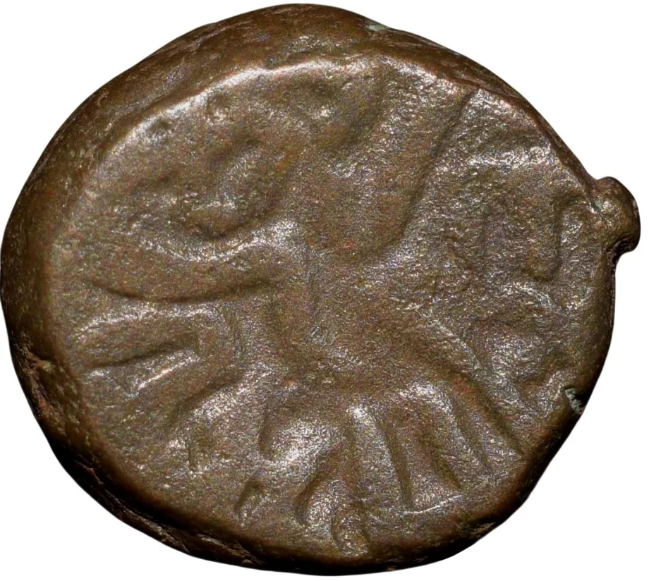 Copper Kakani of Ganapati Naga(c. 3rd Cen. AD) of Nagas Dynasty from Padmavati Bull Type