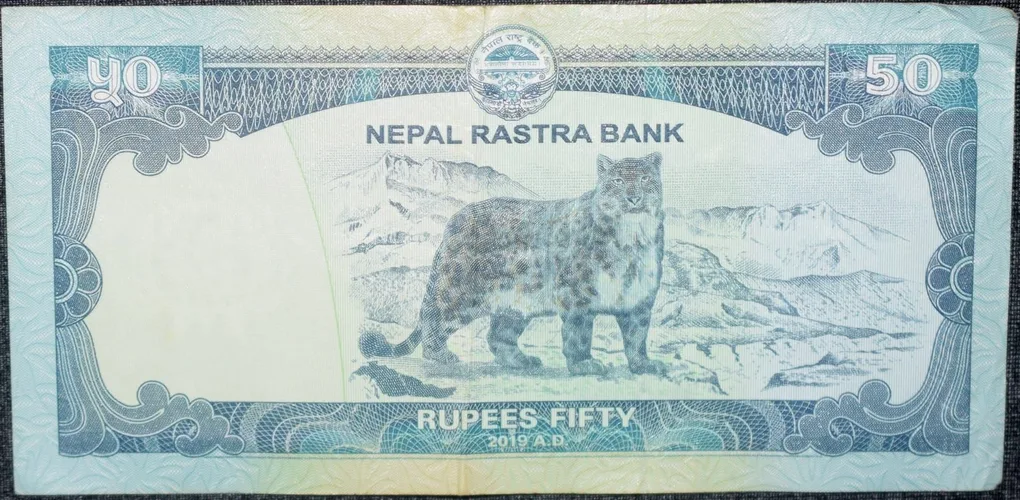 50 Rupees of Nepal (AD 2019) with Snow Leopard Scarce