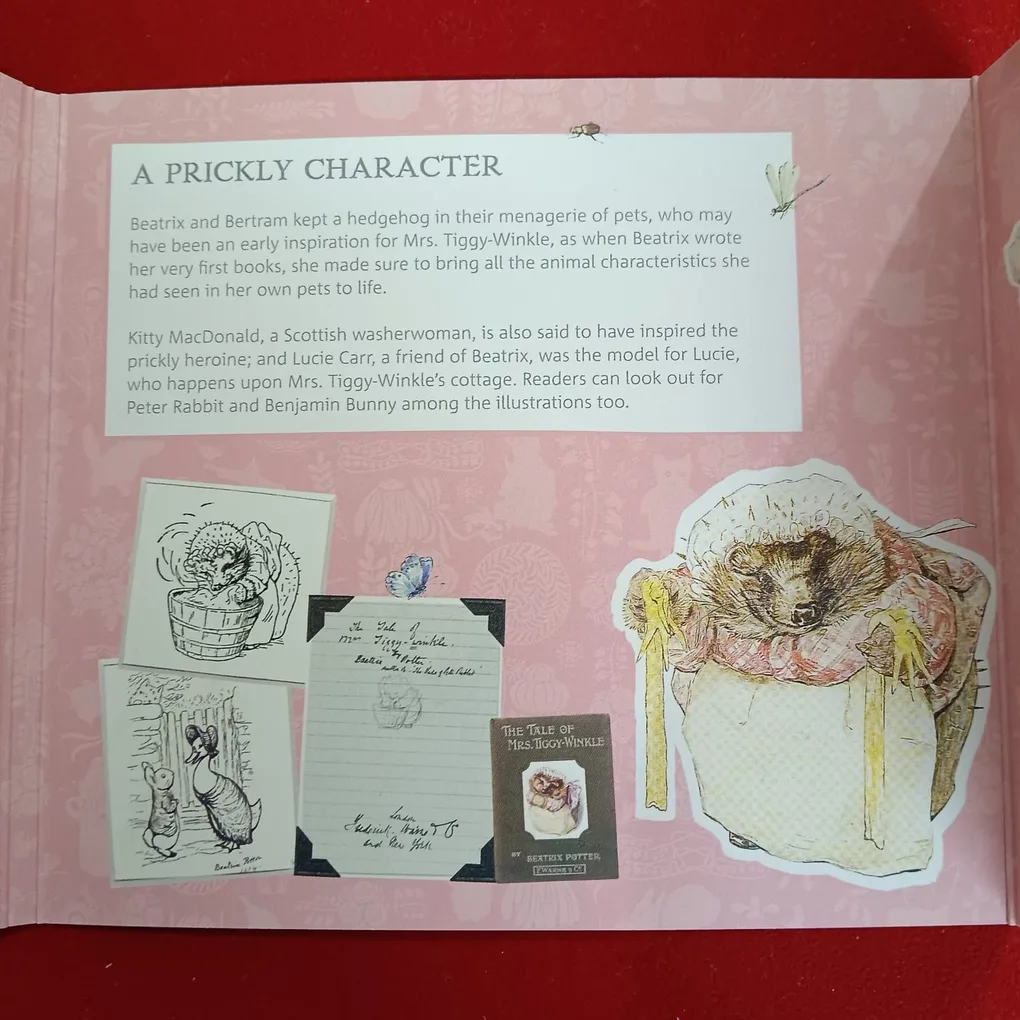 Rare Queen Elizabeth 150 Th Anniversary of Beatrix Potter Mrs Tiggy Winkle Proof Coin Set Year 2016 Issue UK The Royal Mint