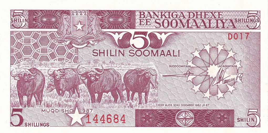5 Shillings of Soomaaliya (AD 1987) with Cape Buffalo herd/Banana plantation UNC Grade Rare
