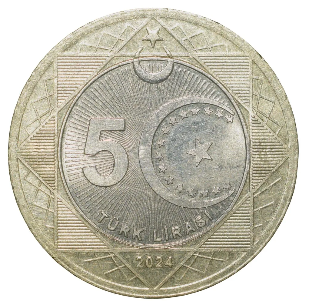 Crescent and star, Seljuk star, Türkiye Centenary logo