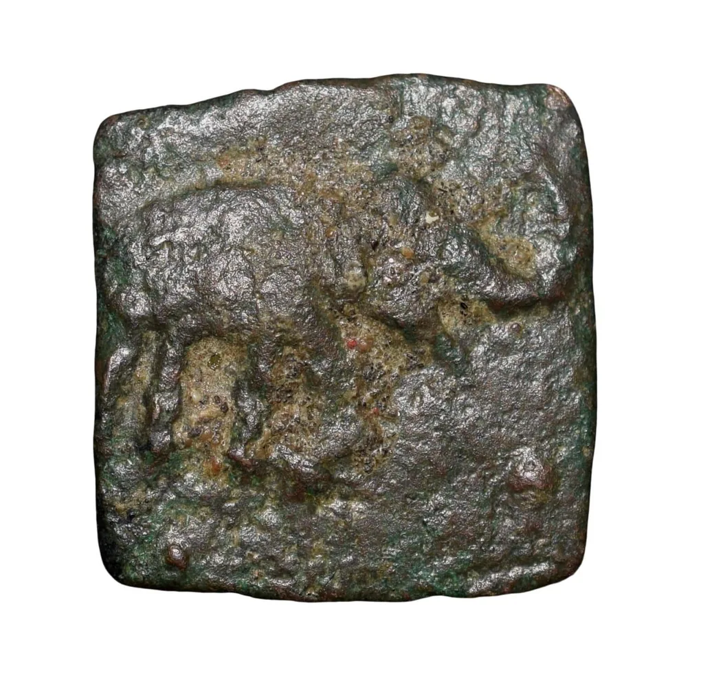 Copper Coin of City-State Bhadravati(1st Cen. BC) with Elephant walking right/Tree Railing & Brahmi legends