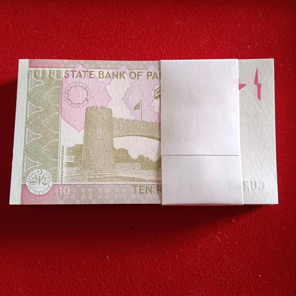 Ten Rupees Ex Rare Fancy Number Full Bundle State Bank of Pakistan 6666001