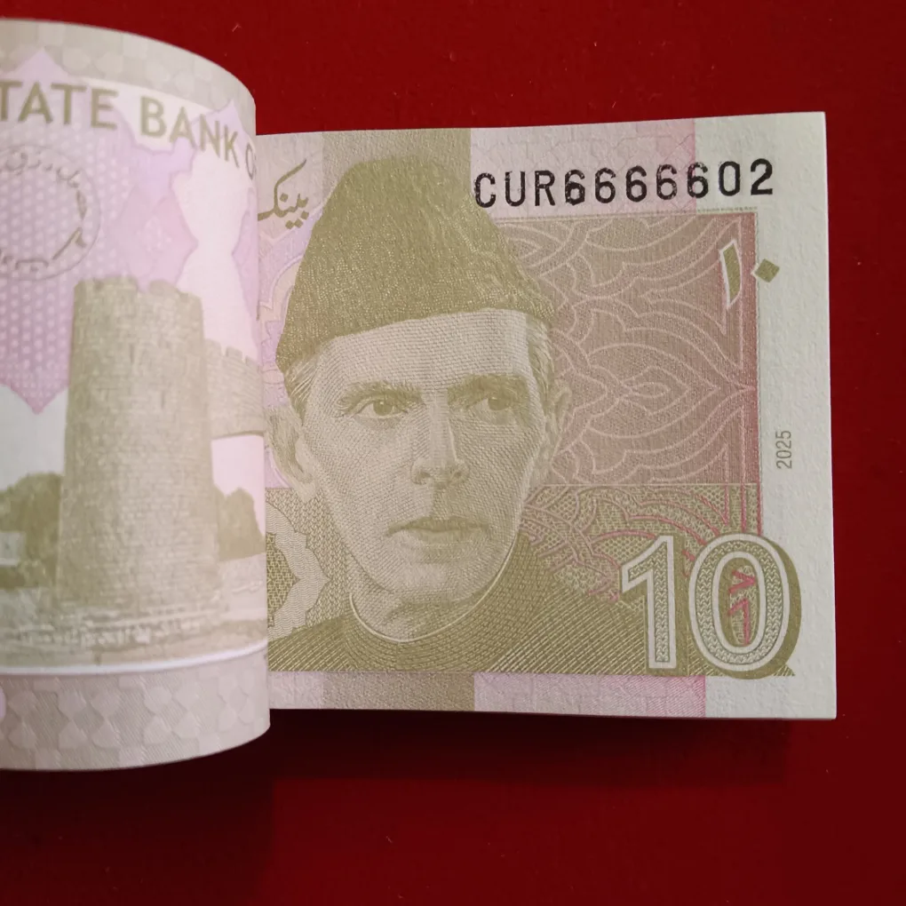 Extremely Rare 10 Rupees Fancy Number Full Bundle 666666State Bank of Pakistan 6666601
