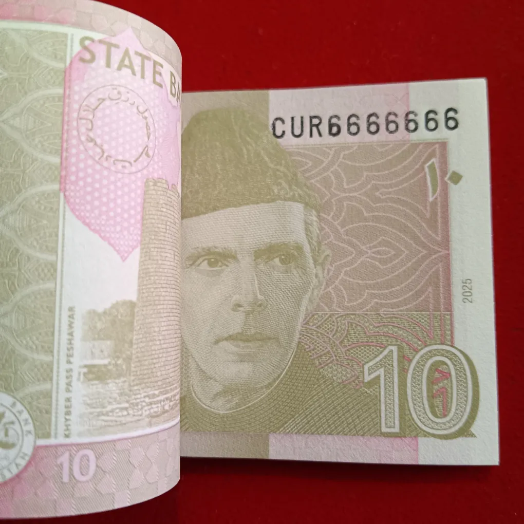 Extremely Rare 10 Rupees Fancy Number Full Bundle 666666State Bank of Pakistan 6666601