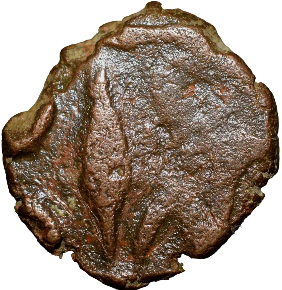 Copper Paisa of Rana's of Mewar (15th - 16th Cen. AD) Later Issue Ext.Rare