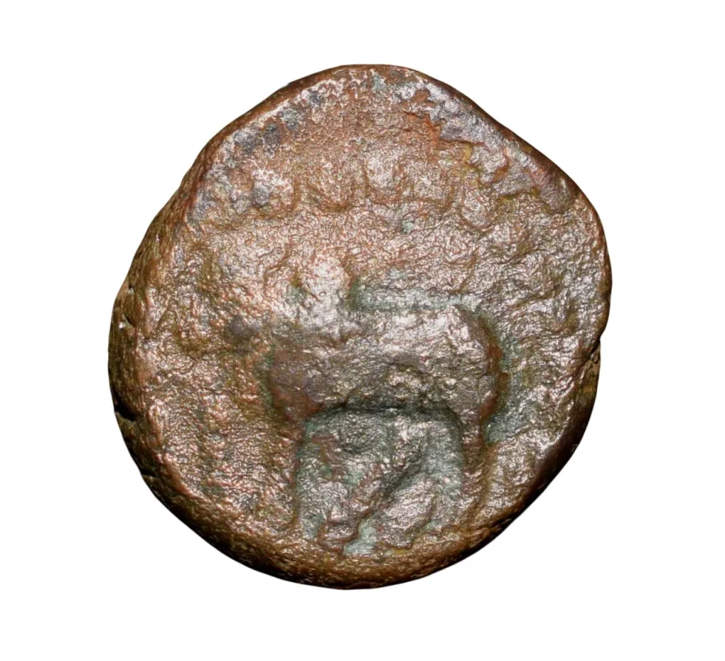 Copper Kakani of Ganapati Naga(c. 3rd Cen. AD) of Nagas Dynasty from Padmavati Bull Type