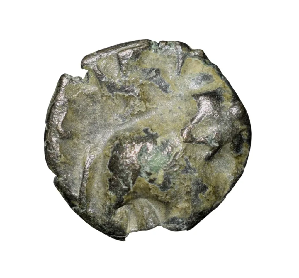 Copper Coin of Satakarni of Satavahan Dynasty (1st Cen.BC) with Swastik above Elephant walking right from Marathwada Region