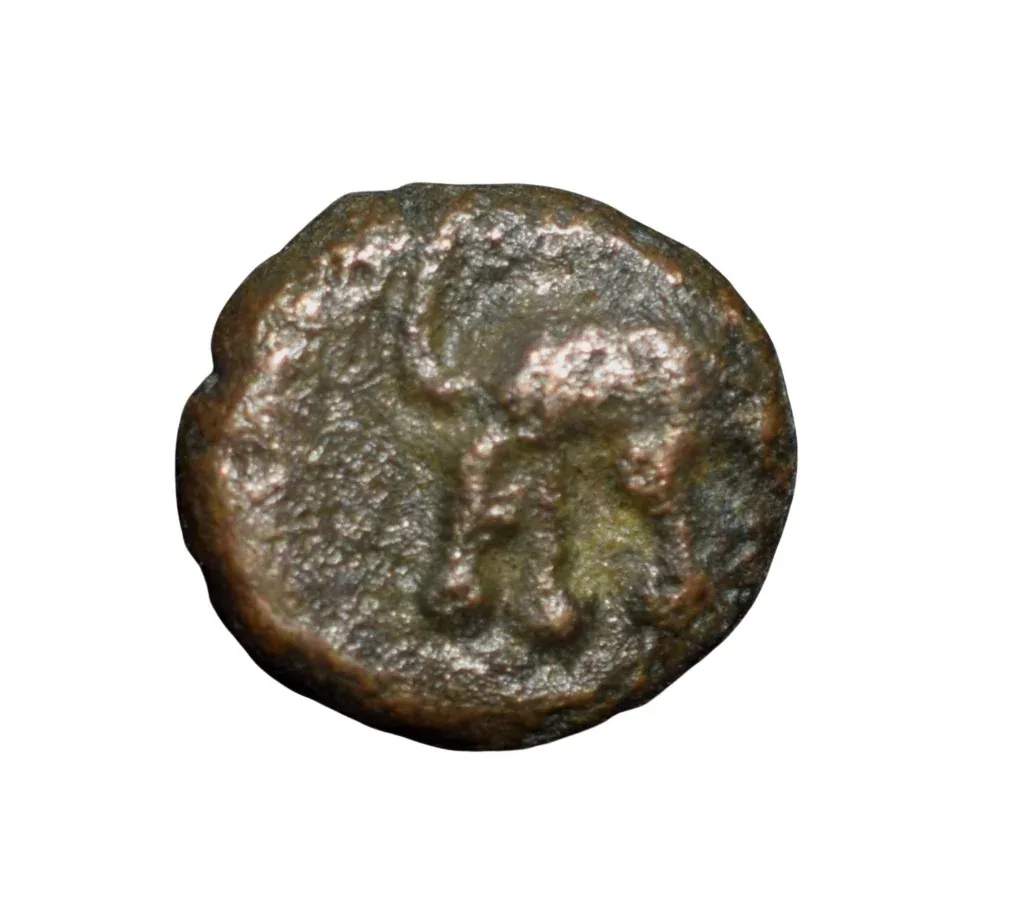 Copper Coin of Feudatory Chiefs from Tiruneveli Region(1700-1800 AD) Face of Lion facing(Kirtimukha)/Elephant or Lion walking Right
