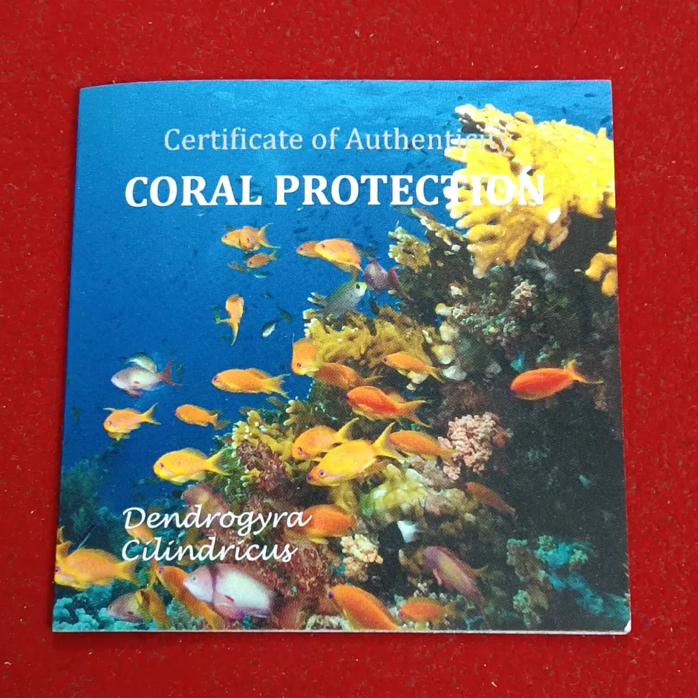 Extremely Rare Coral Protection Queen Elizabeth One Dollar Tuvalu 1/2 OZ Silver Proof Coin  Year 2011 Issued by Tuvalu Country