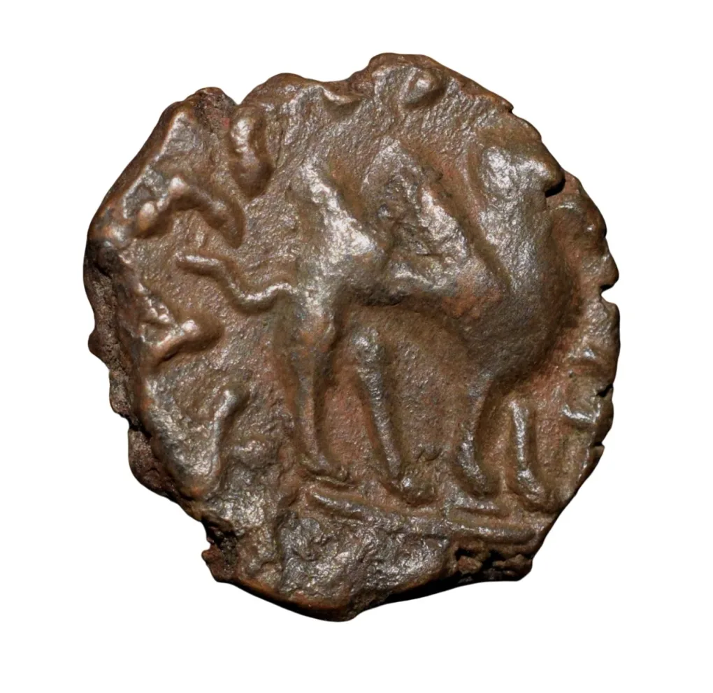 Copper 1/2 Drachma of Kujula Kadphasis (AD 50-90) of Kushan Dynasty with Double Humped Bacterian Camel Rare