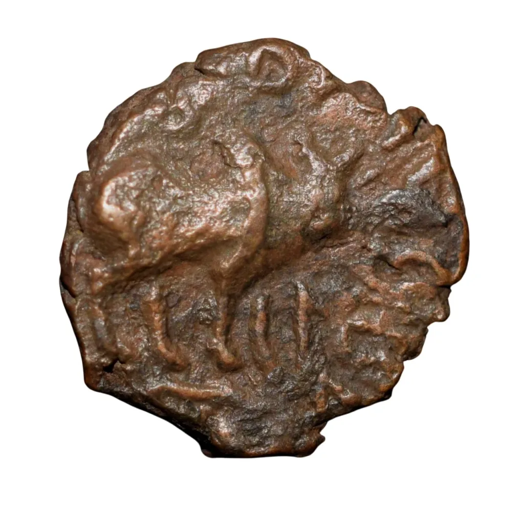 Copper 1/2 Drachma of Kujula Kadphasis (AD 50-90) of Kushan Dynasty with Double Humped Bacterian Camel Rare