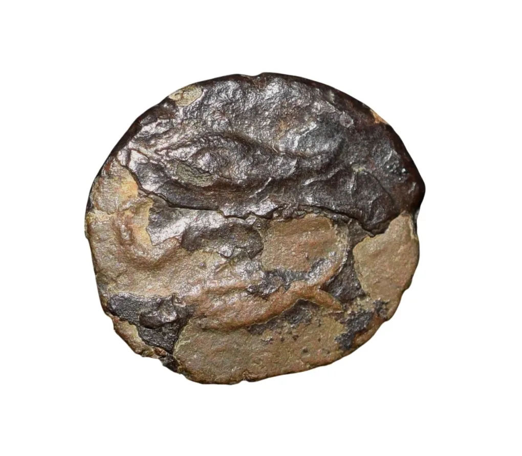 Copper Kasu Jatavarman Sundara Pandya I (AD 1251-1283) of Imperial Pandya Very Rare
