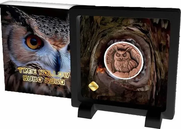 Ex Rare 25 Cents SAMOA The Eurasian Eagle Owl Tree Hollow BUBO BUBO Proof Coin Year 2024 Issue By Scotland Mint