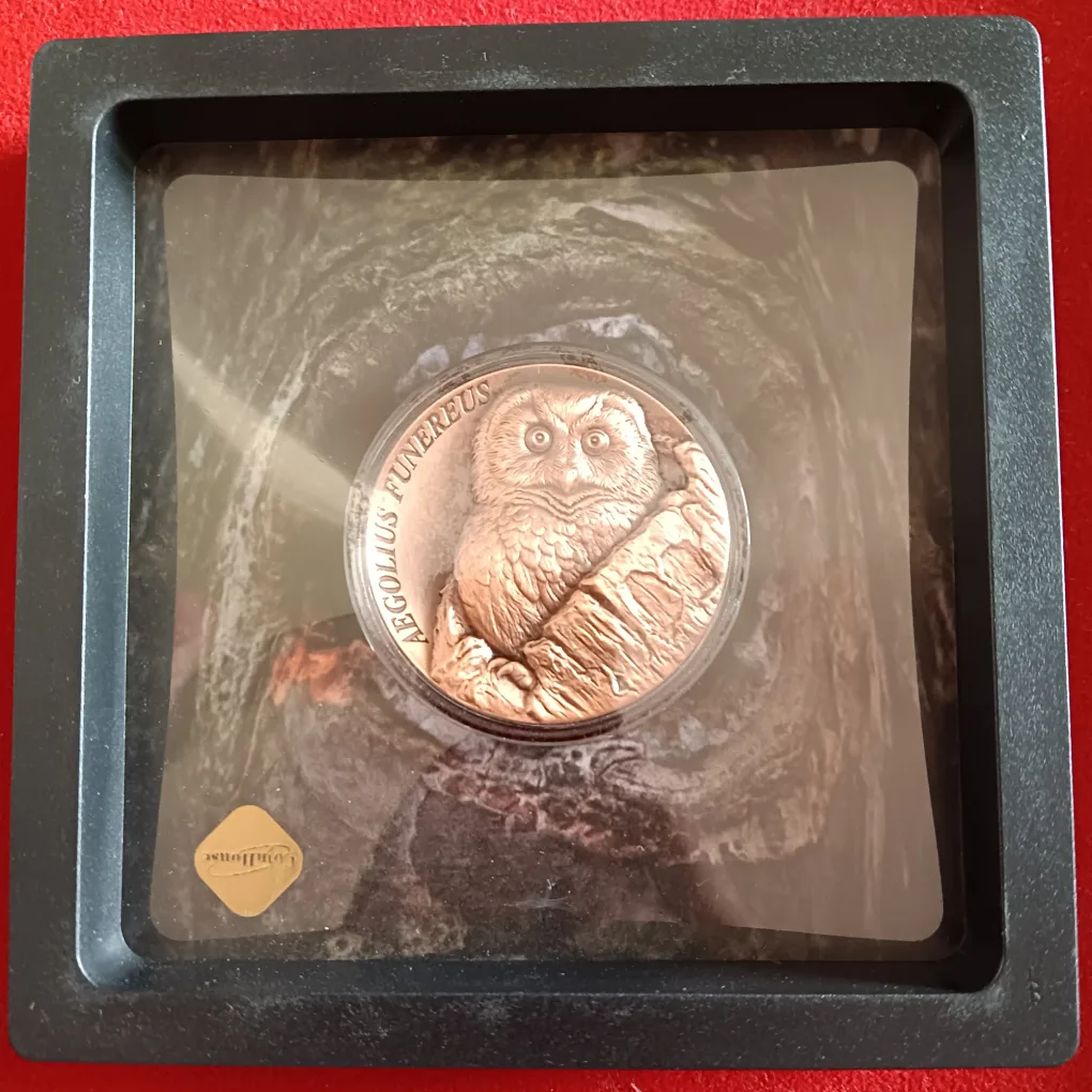 Ex Rare 25 Cents SAMOA The Tree Hollow Aegolius Funereus Proof Coin Year 2026 Issue By Scotland Mint