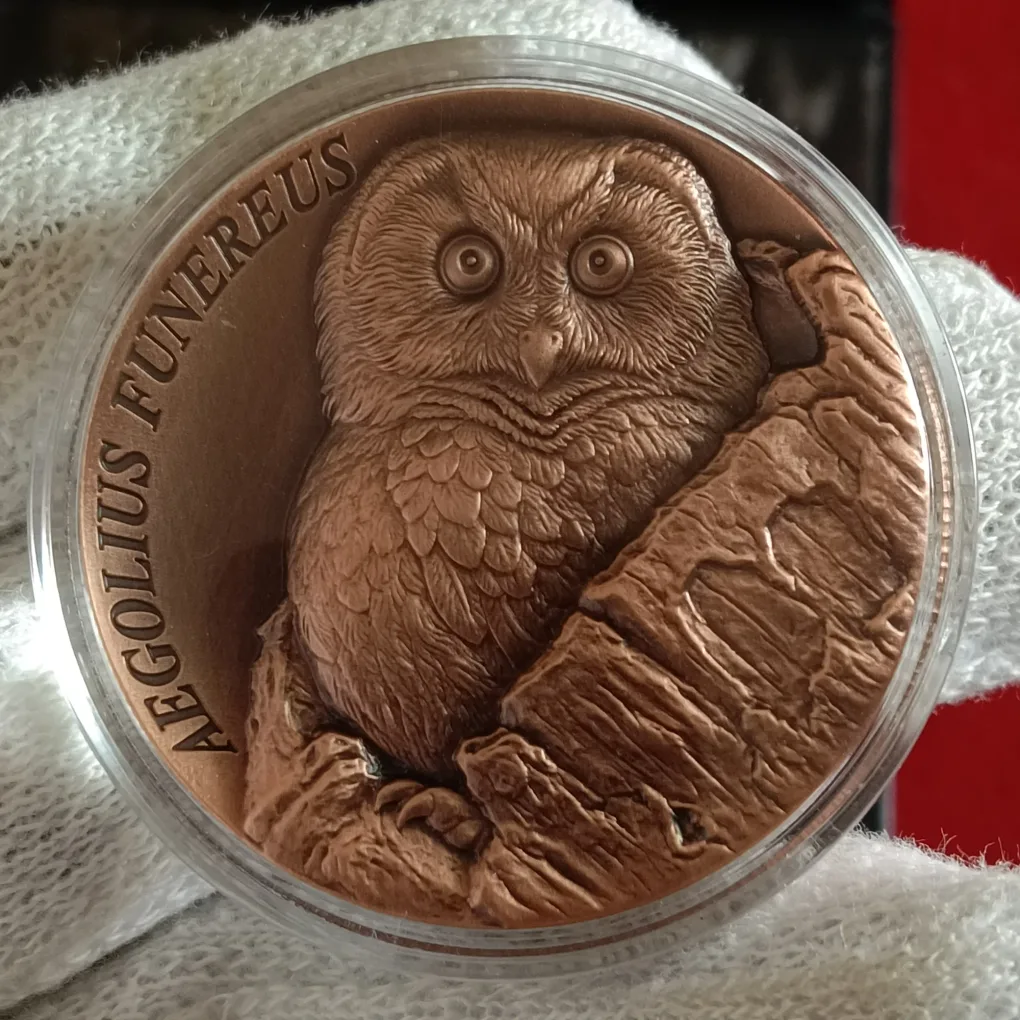 Ex Rare 25 Cents SAMOA The Tree Hollow Aegolius Funereus Proof Coin Year 2026 Issue By Scotland Mint