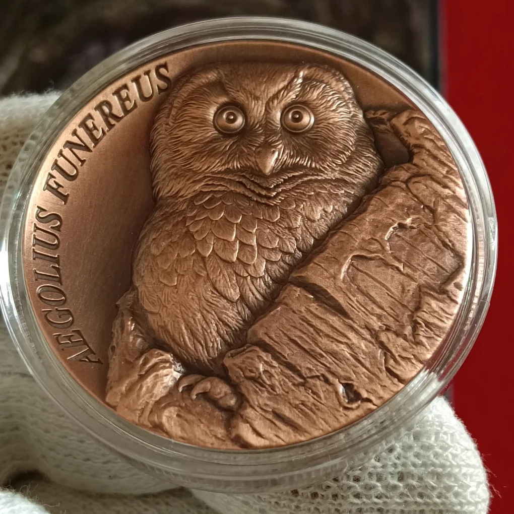 Ex Rare 25 Cents SAMOA The Tree Hollow Aegolius Funereus Proof Coin Year 2026 Issue By Scotland Mint