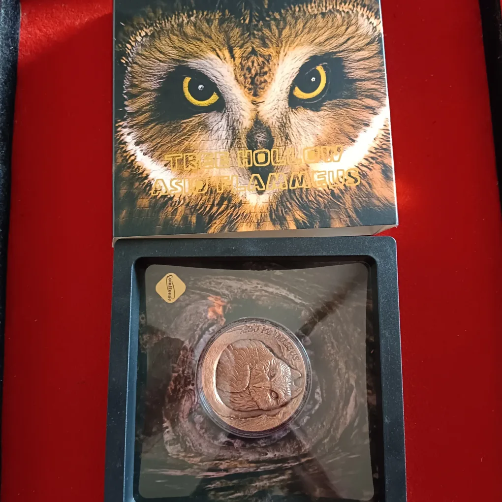 Ex Rare 25 Cents SAMOA The Tree Hollow Asio Flammeus Copper Proof Coin  Antique Finish Year 2025 Issue By Scotland Mint