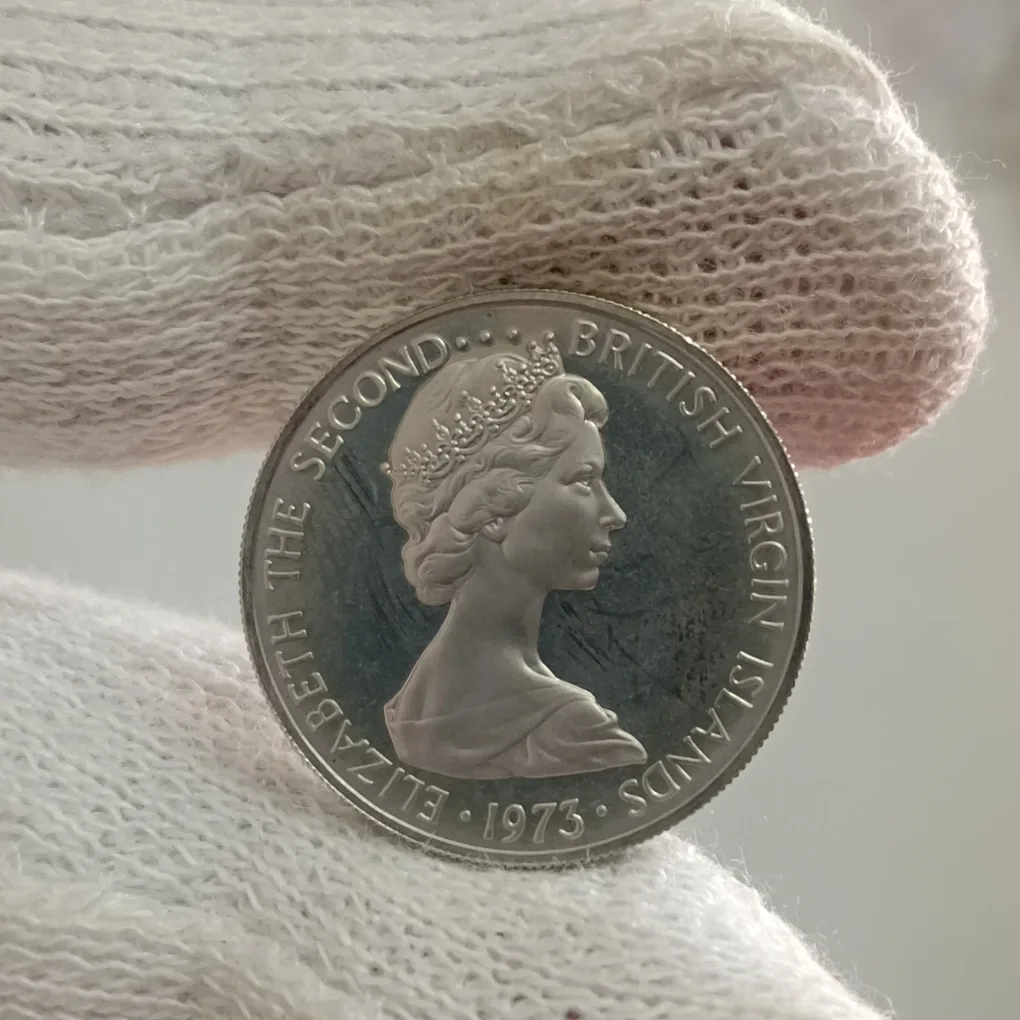 Rare Elizabeth Second British Vergin Islands Ten Cents Proof Coin 1973 Year F14
