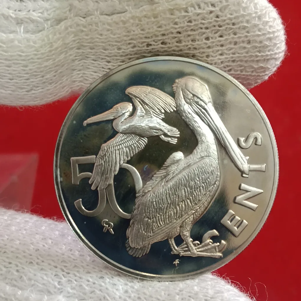 Rare Queen Elizabeth Second British Viirgin Islands 50 Cents Proof Coin 1973 Year F24
