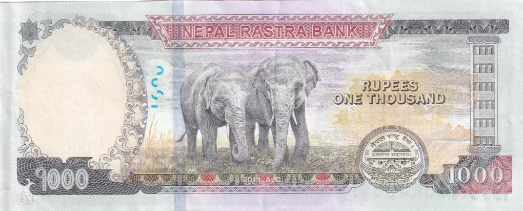 Nepal 1000 Rupees A-UNC Rare Note