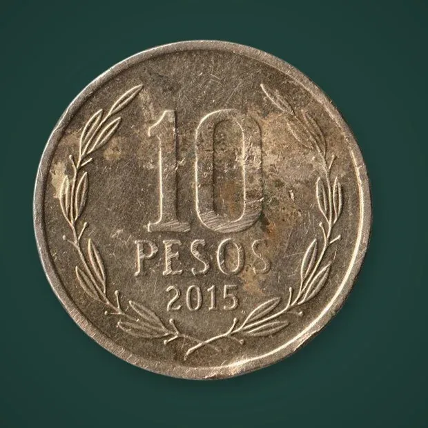 Rare Chile 10 Pesos 2015 Libertador Bernardo O'Higgins Republica de Chile World Coin # A1097