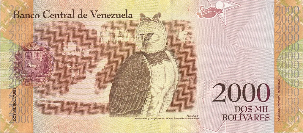 2000 Bolívares of Venezuela Country (AD 2016) with Portrait of Cacique Guaicaipuro/Harpy Eagle at centre, Ucaima Falls, Kurun & Venado Tepuys